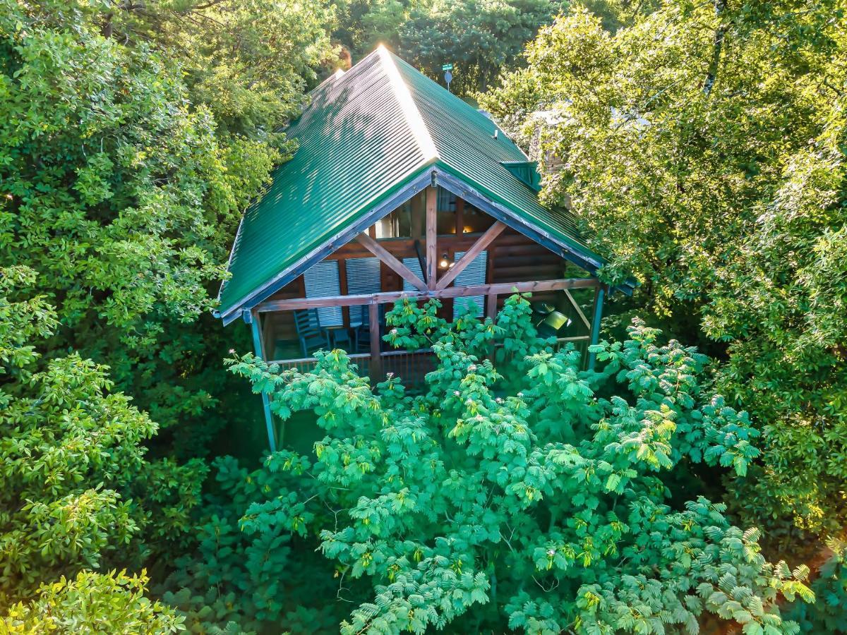 Cozy Log Cabin!! In Heart Of Pf & Close To The Smokies بيدجن فورج المظهر الخارجي الصورة